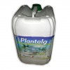 PLANTALG Mg