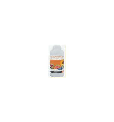 OLIPLANT MO 54