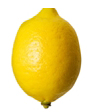 Citronnier