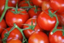 Tomates - Programme Foliaire