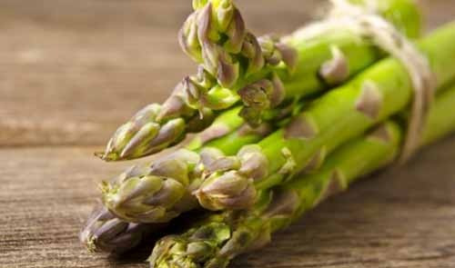 Programme Asperges